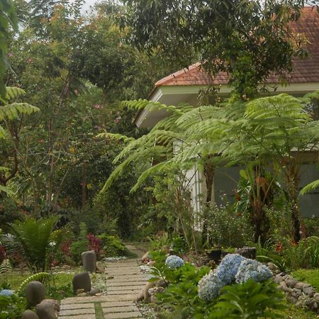 Ara Garden Inn, Accommodation, Yoga Studio & Spa Ruteng Exterior foto
